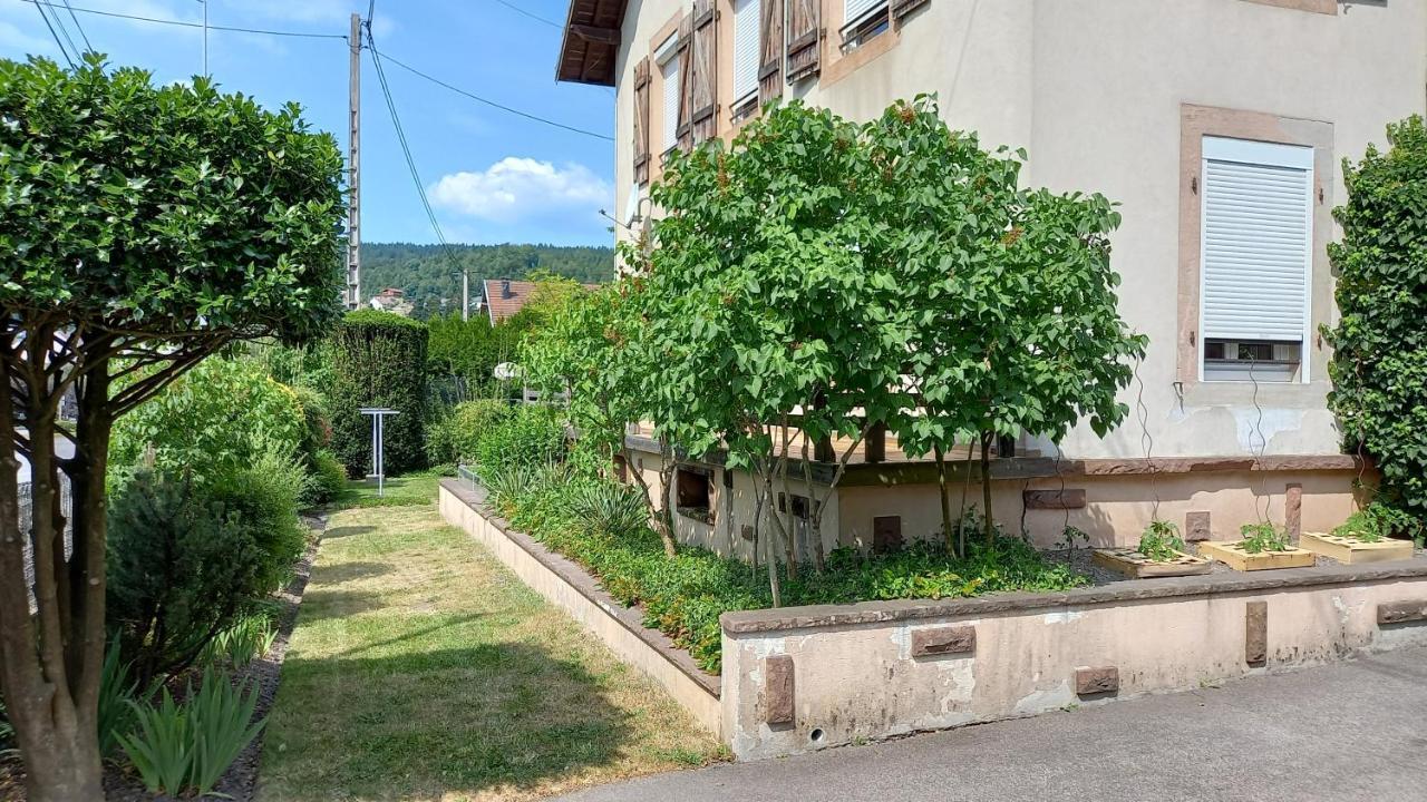 Studio d'hôtes à 10 km de Gérardmer  Le Tholy Exterior foto